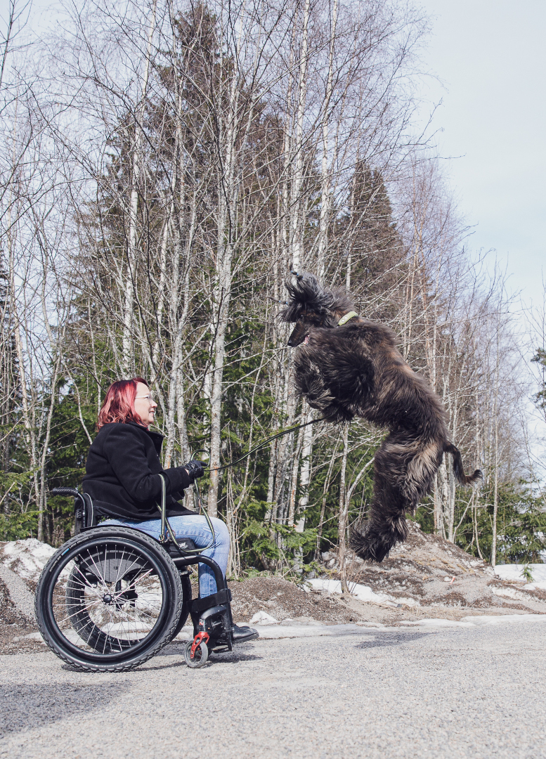Ihminen pyörätuolissa ja hyppäävä koira